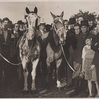 A maior das cavalgadas