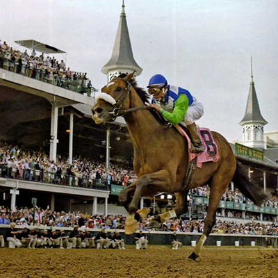 A série- Cavalos famosos