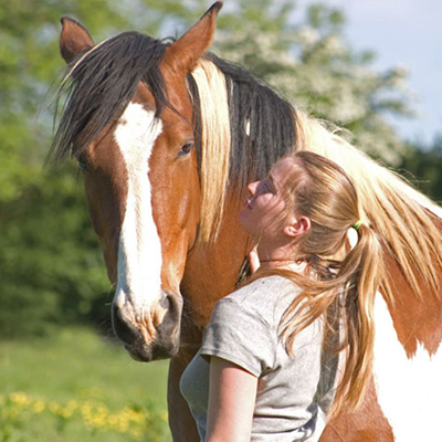 Ética na lida com os cavalos