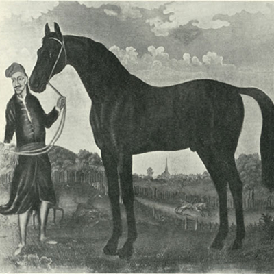 A importância do cavalo na história-Parte 3